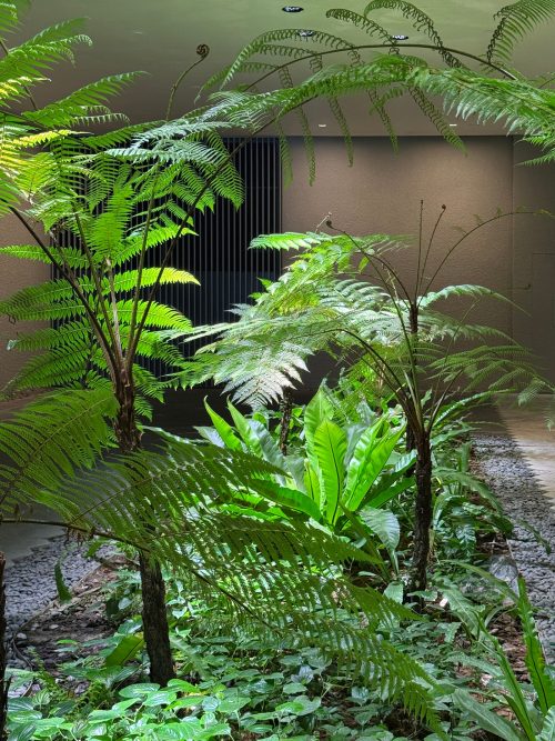 adf-web-magazine-zero-sunlight-6