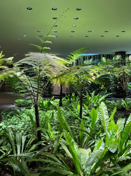 adf-web-magazine-zero-sunlight-8