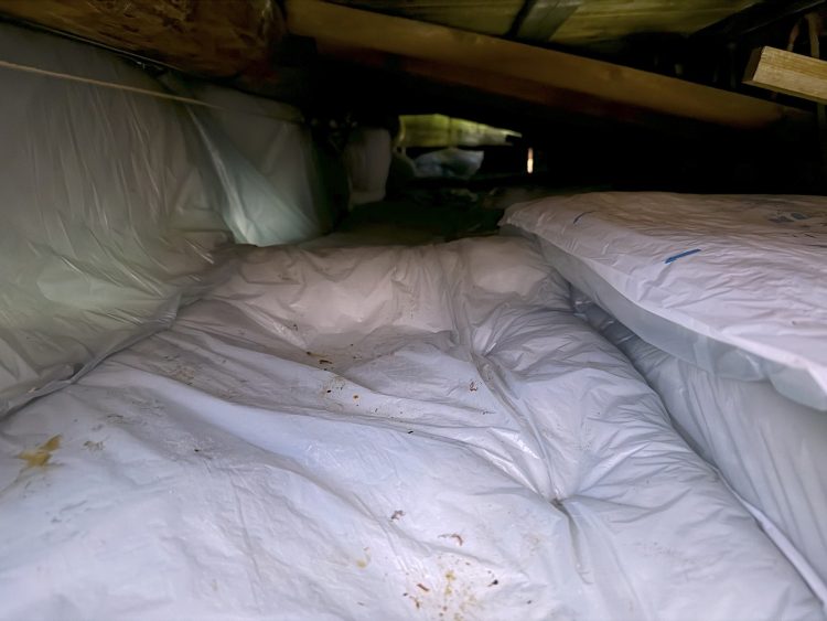 adf-web-magazine-ceiling-renovation-3