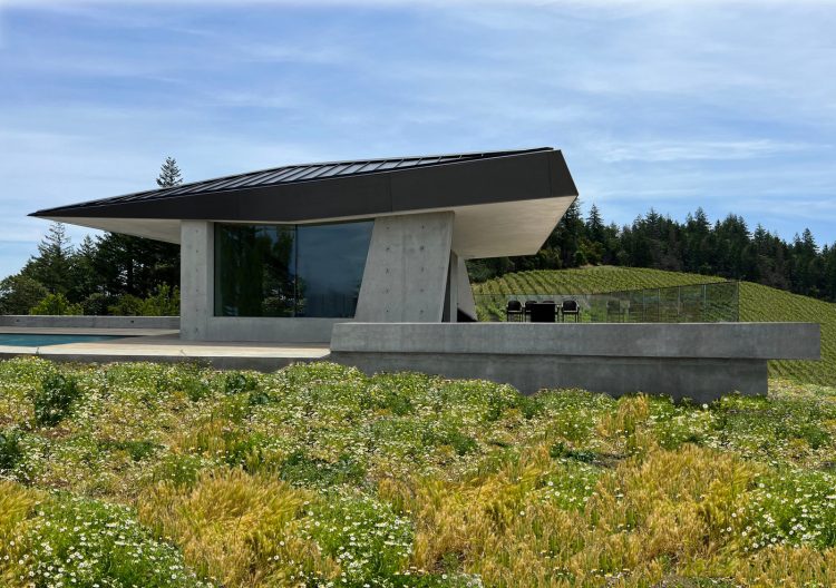 adf-web-magazine-glen-ellen-pavilion-tt-architecture-2