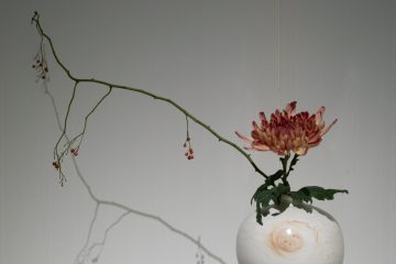 adf-web-magazine-rose-gallery-wj-studio-29