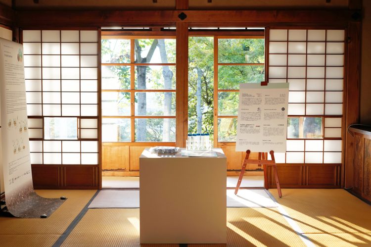 adf-web-magazine-science-art-matsudo-2025-2