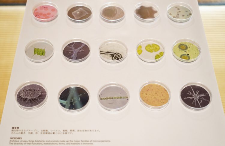 adf-web-magazine-science-art-matsudo-2025-3