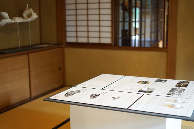 adf-web-magazine-science-art-matsudo-2025-8