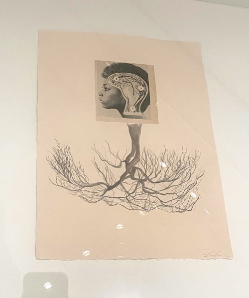 adf-web-magazine-simpson-8