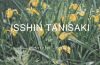 adf-web-magazine-tanizaki-lurf-gallery-1