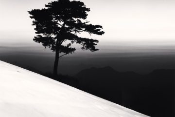 adf-web-magazine-haikus-of-light-and-shadow-9