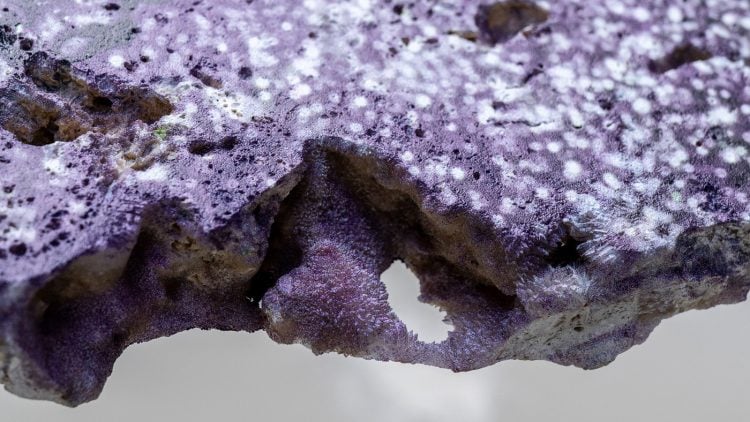 adf-web-magazine-kuniyoshi-contrast-5