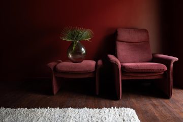 adf-web-magazine-tonester-paints-zappa-nest-18