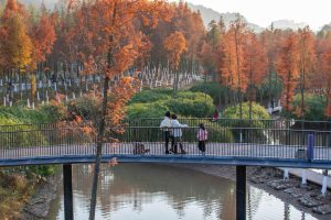 adf-web-magazine-waf-2025-winner-day3-32