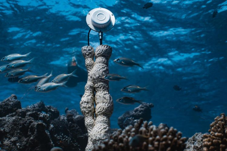 adf-web-magazine-contrast-marco-barotti-1