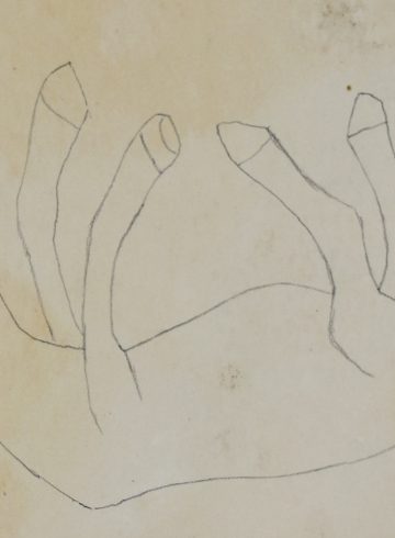 adf-web-magazine-ueno-inokuma-freedom-6