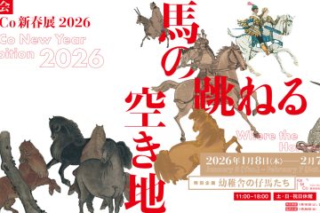 adf-web-magazine-where-the-horses-are-kemco-1