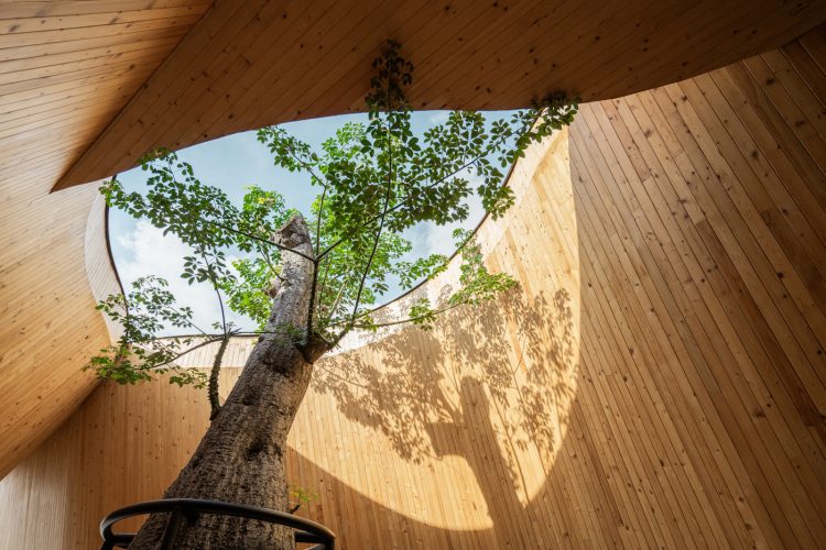 adf-web-magazine-adf-design-awards-2026-winners-2