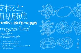 adf-web-magazine-corrugated-coral-what-museum-1