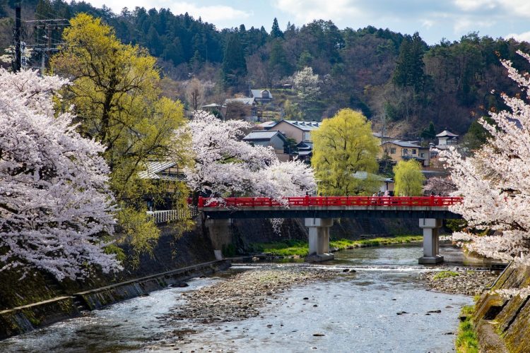 adf-web-magazine-traveller- review-awards-2026-2