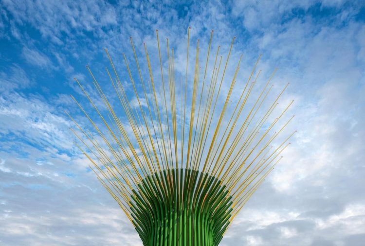 adf-web-magazine-chorus-ventus-neon-24