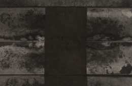 adf-web-magazine-fujiwara-whitestone-1