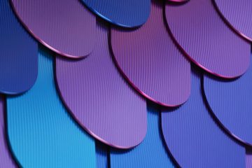 adf-web-magazine-futureforms-2