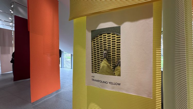 adf-web-magazine-impasto-09