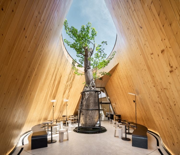 adf-web-magazine-jeravej-hongsakul-6