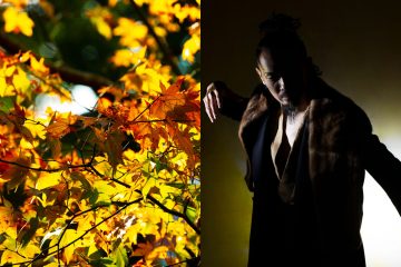 adf-web-magazine-kyoyo-nippon-festival-2