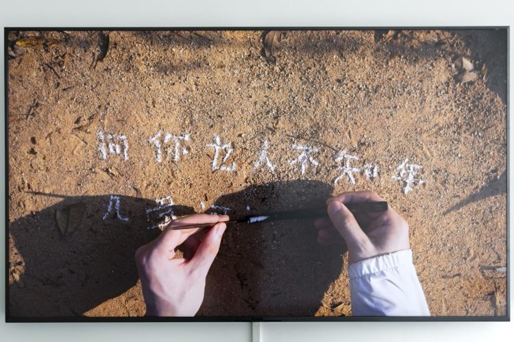 adf-web-magazine-shanghai-biennale-amedeo-martines-14