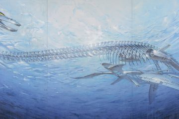 adf-web-magazine-sorayama-tokyo-3