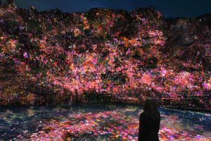 千葉県・養老渓谷で春の夜を彩るアート展「チームラボ 養老渓谷」が開催