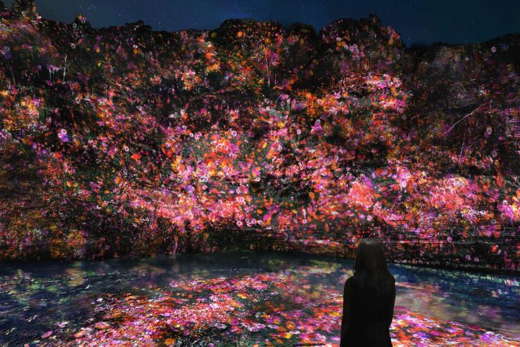 adf-web-magazine-teamlab-yoro-valley-1