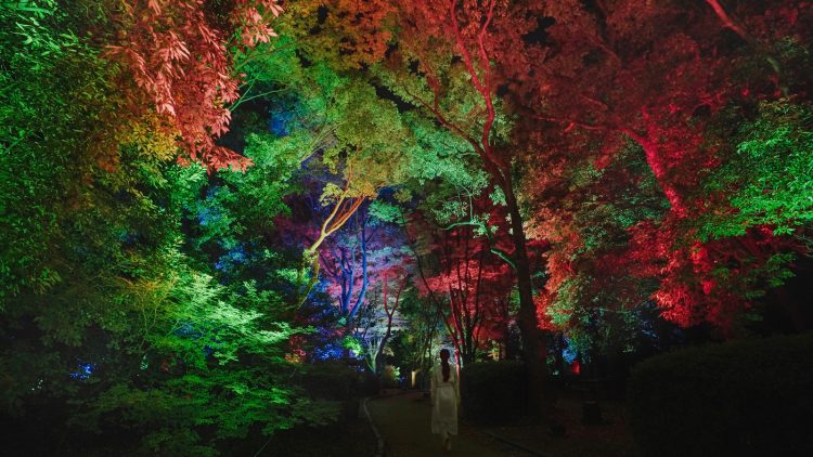 adf-web-magazine-teamlab-yoro-valley-2