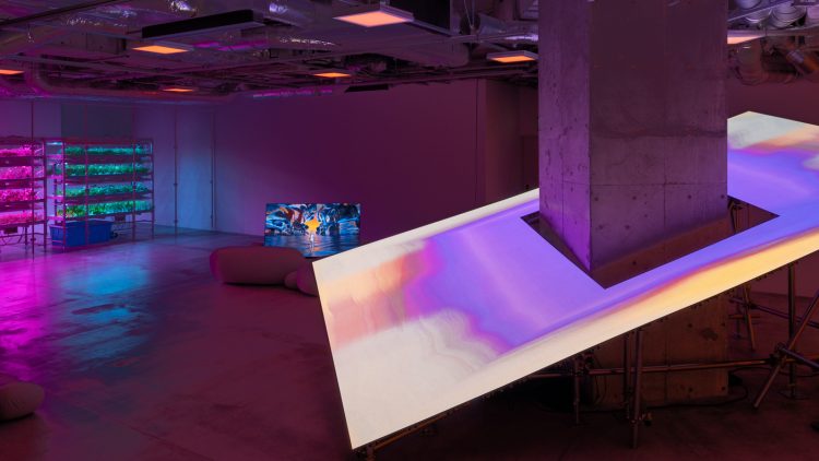 adf-web-magazine-the-hall-the-tunnel-3