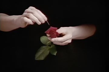 adf-web-magazine-idemitsu-top-1