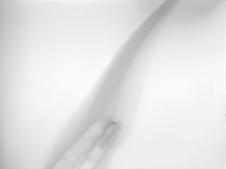 adf-web-magazine-idemitsu-top-5