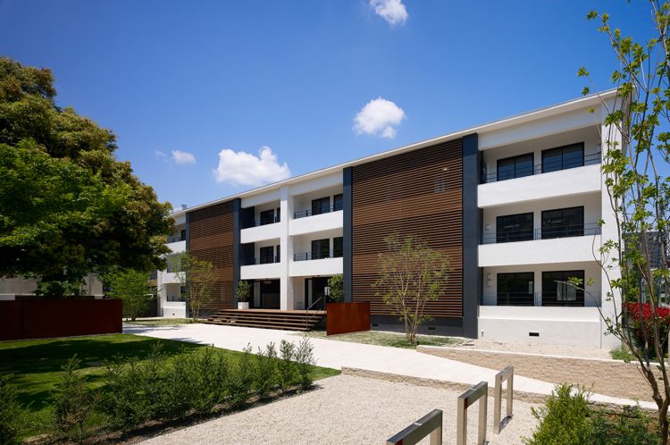 adf-web-magazine-keiko-moriuchi-motif-6