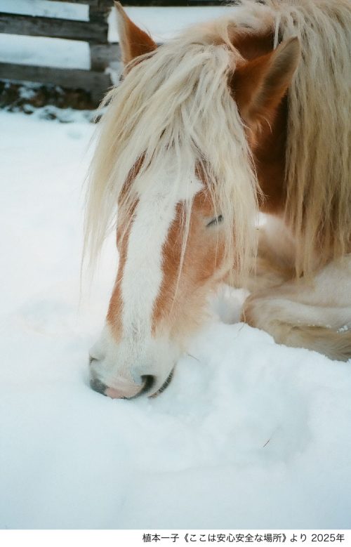 adf-web-magazine-listening-to-the-inner-voice-2