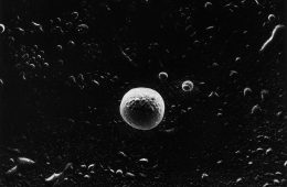 adf-web-magazine-nishimura-asteroid-minna-1