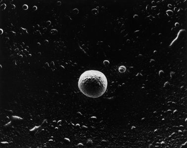 adf-web-magazine-nishimura-asteroid-minna-1