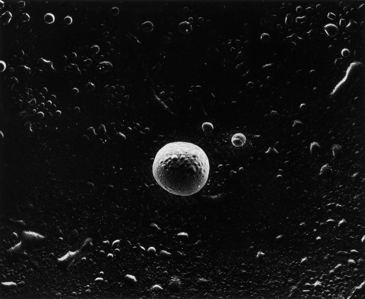 adf-web-magazine-nishimura-asteroid-minna-1