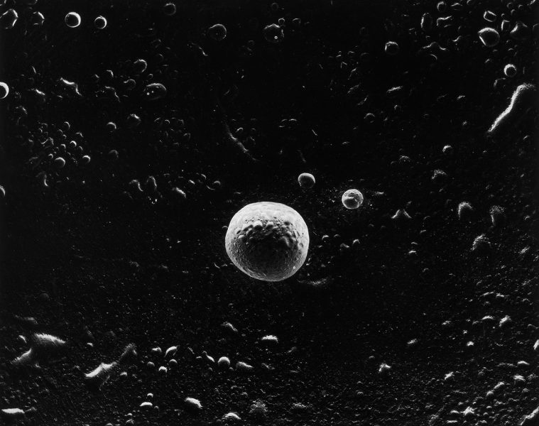 adf-web-magazine-nishimura-asteroid-minna-1