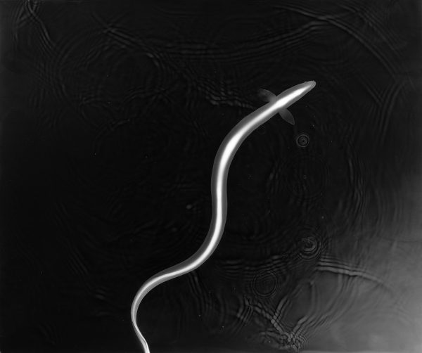 adf-web-magazine-nishimura-asteroid-minna-4