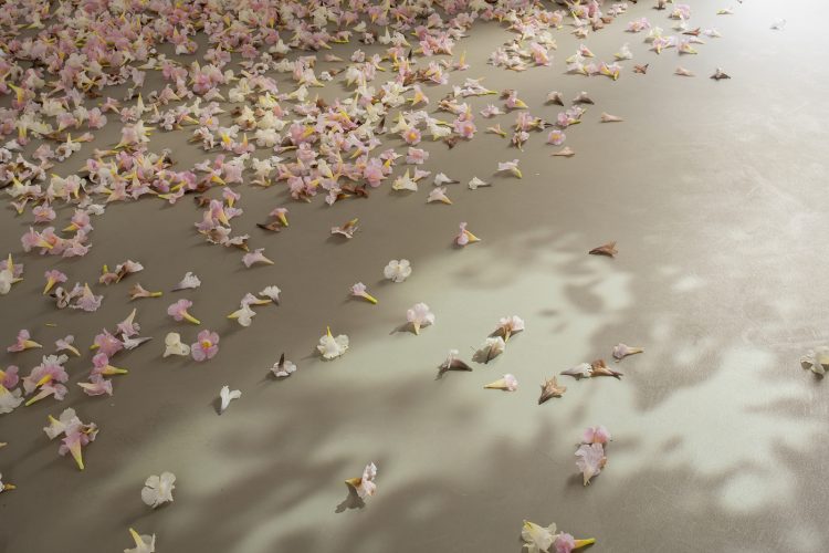 adf-web-magazine-pola-monet-contemporary-2