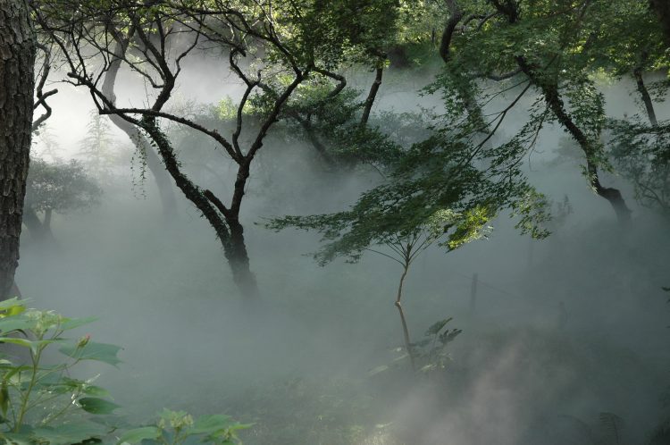 adf-web-magazine-pola-monet-contemporary-3