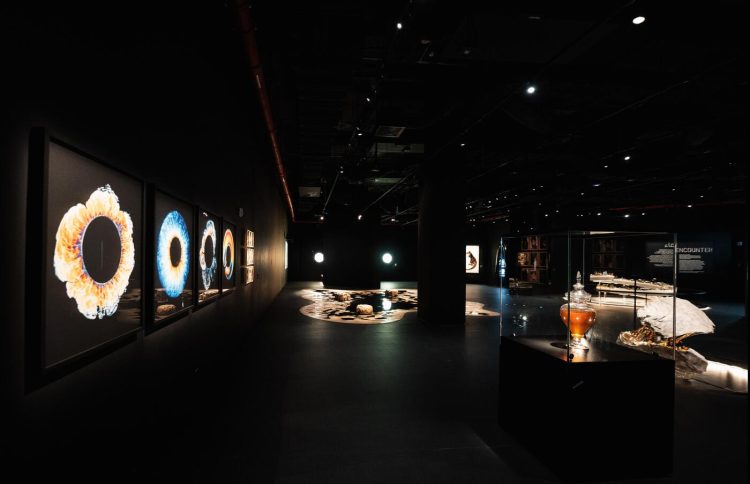 adf-web-magazine-la-meduse-black-gold-museum-13