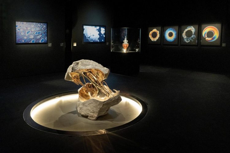 adf-web-magazine-la-meduse-black-gold-museum-14
