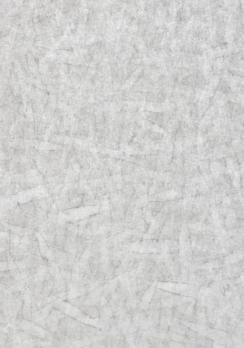 adf-web-magazine-suizu-khora-new-1