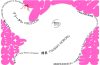 adf-web-magazine-tsubaki-towada-1