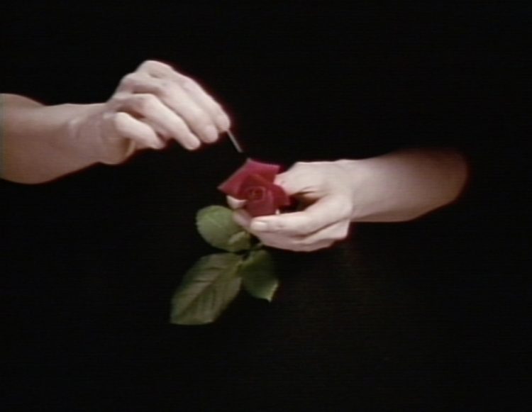 adf-kyoto-photography-museum-mako-idemitsu-autobiography-of-a-video-artist