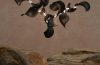 adf-web-magazine-dune-moss-objects-1